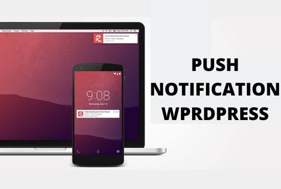 I will install push notifications on wordpress