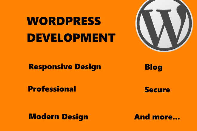 I will make a cheap wordpress blog for you