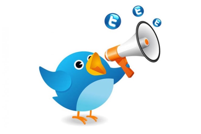 I will manually grow your brand through twiter marketing in 1 week
