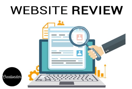 I will offer you a professional review on your website