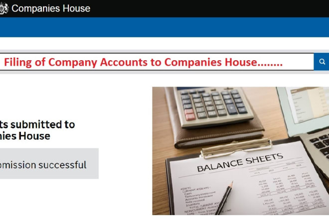I will prepare company accounts and file to companies house