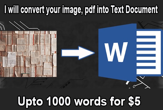 I will professionally convert pdf and image into word document