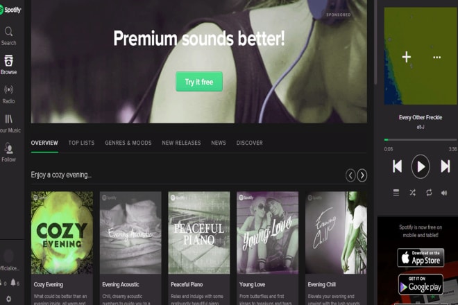I will promote your spotify music playlist radio stations