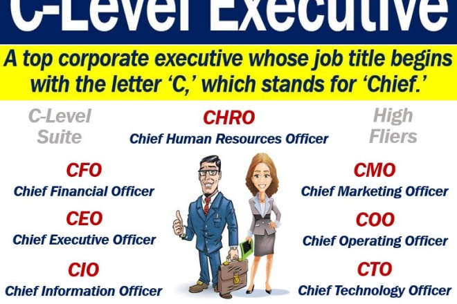 I will provide resume and linkedin profile for top level executives