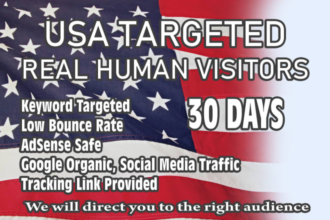 I will send USA targeted daily organic web traffic