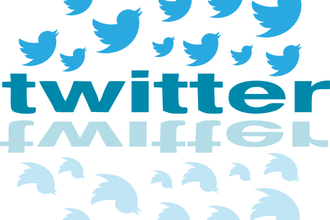 I will set up and manage your twitter business profile