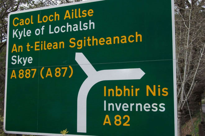 I will suggest a gaelic name for your house or business