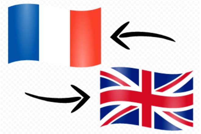 I will translate 800 english to french words and vice versa in 10h