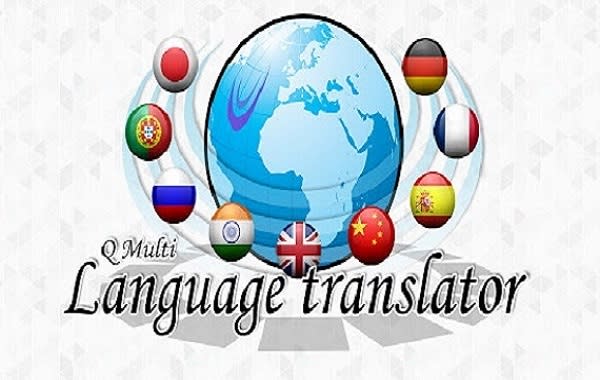 I will translate wordpress website to multi language