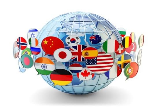 I will translate your website in any language