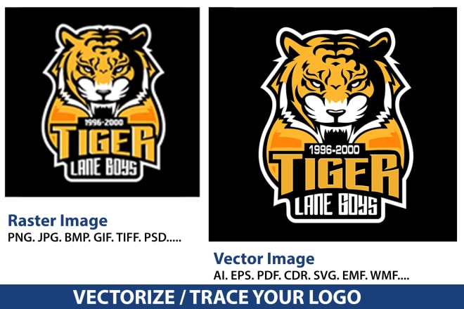 I will vectorize, customize, recreate, trace raster logo to vector