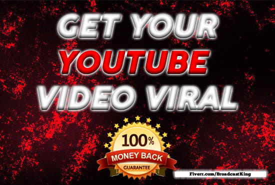 I will youtube promotion and marketing