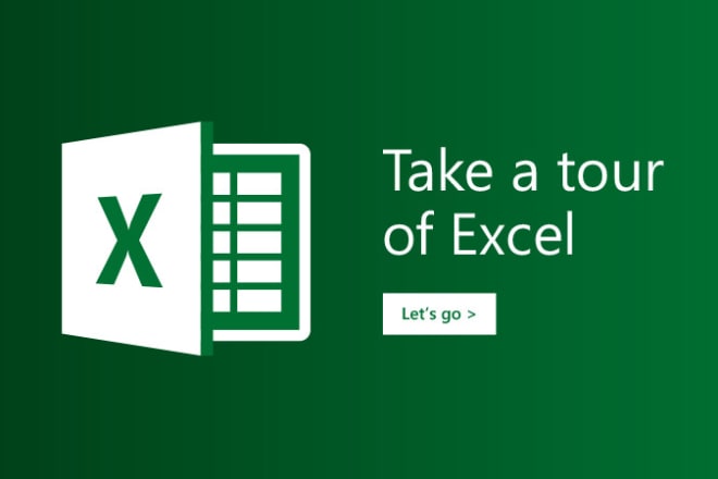 I will be an expert excel guy for you