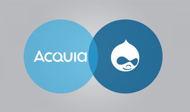 I will be your drupal freelancer, can do custom theme or module