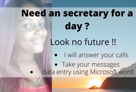 I will be your online secretary for a day