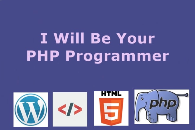 I will be your PHP programmer and wordpress developer