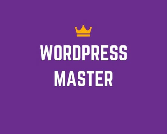 I will be your wordpress expert