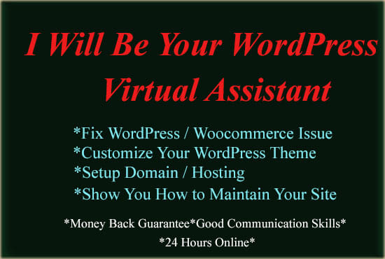 I will be your wordpress virtual assistant