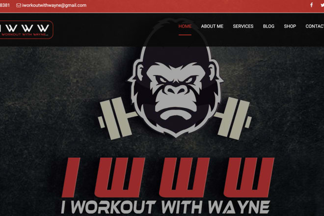 I will build a fitness blog and personal training website