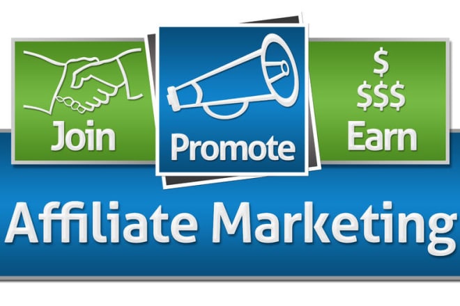 I will build affiliate marketing program on wordpress website