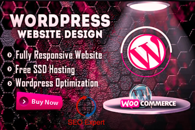 I will build business wordpress website just in 24 hours