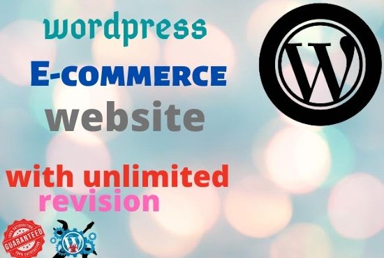 I will build ecommerce website professionaly