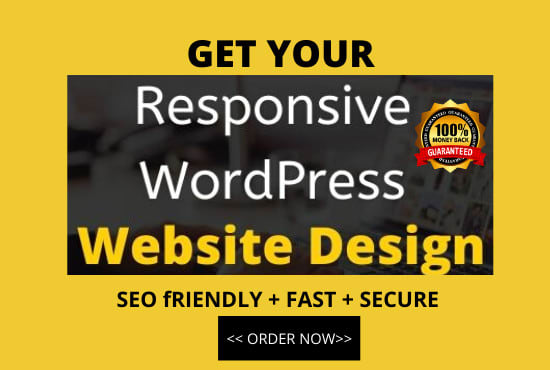 I will build or recreate a responsive wordpress website