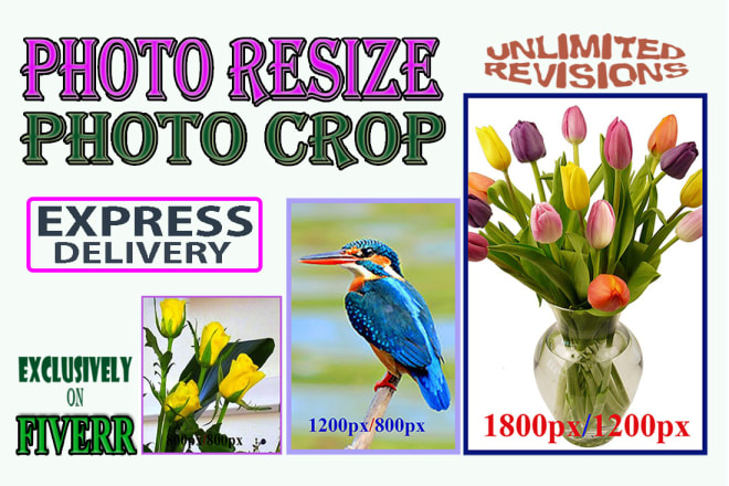 I will bulk image resize and crop picture, photo resizing and logo cropping