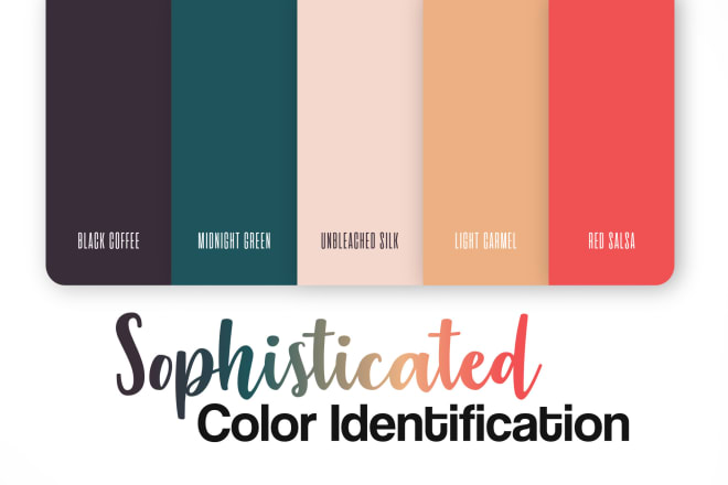 I will choose a sophisticated color palette for brand or website