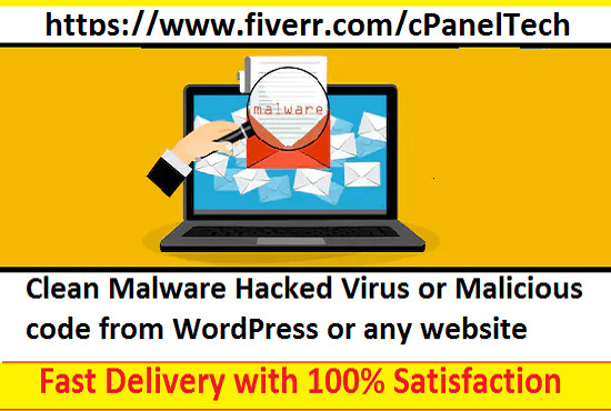 I will clean malware hacked virus or malicious code from wordpress or any website