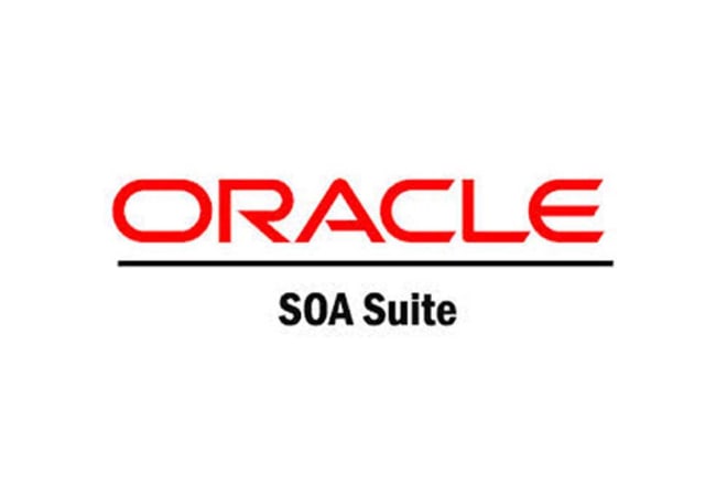 I will conduct training support trouble shouting on oracle soa suite fmw products