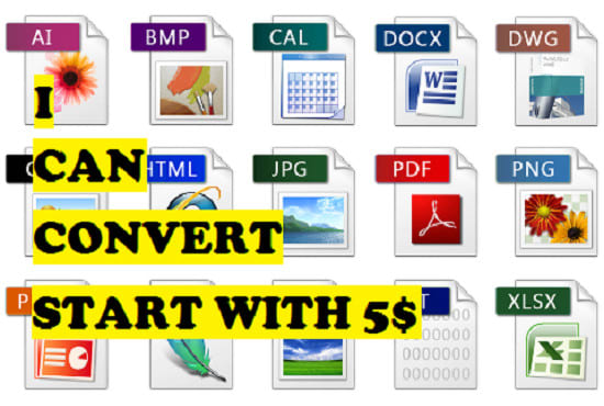 I will convert pdf, jpg, ppt, html, excel, doc, zip, rar, tiff, psd file format