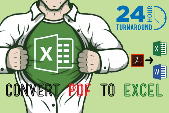 I will convert pdf to excel