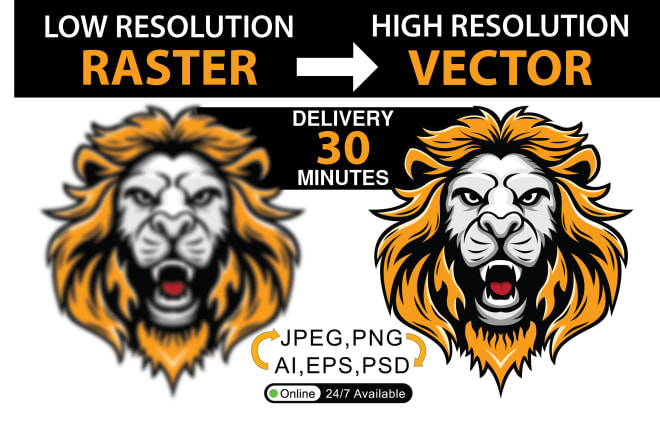 I will convert raster logo,image in vector file high resolution ai,png,eps