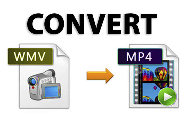 I will convert video wmv to mp4