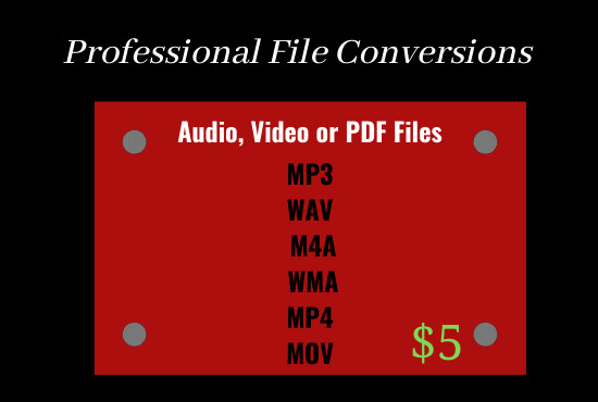 I will convert your audio, PDF or video files
