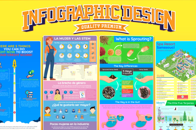 I will create a professional infographic of high quality and great colors