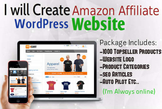 I will create an amazon affiliate website in days