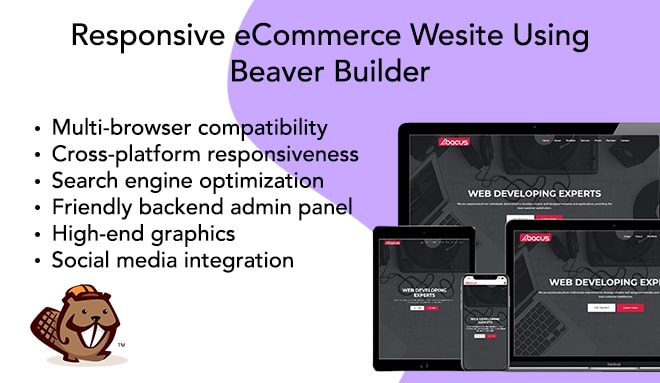 I will create an ecommerce website using beaver builder