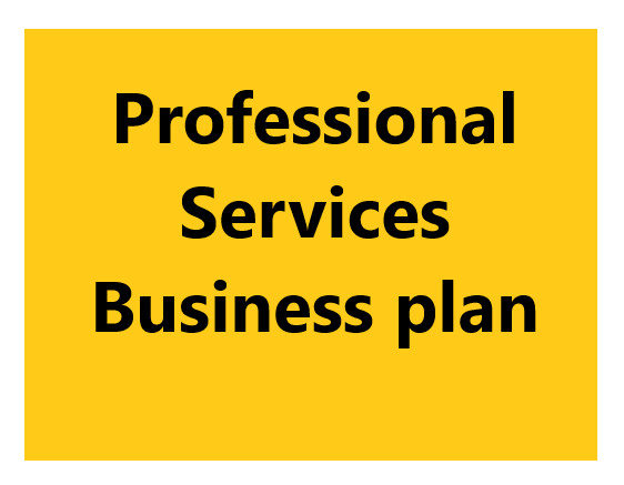 I will create an outstanding professional services business plan