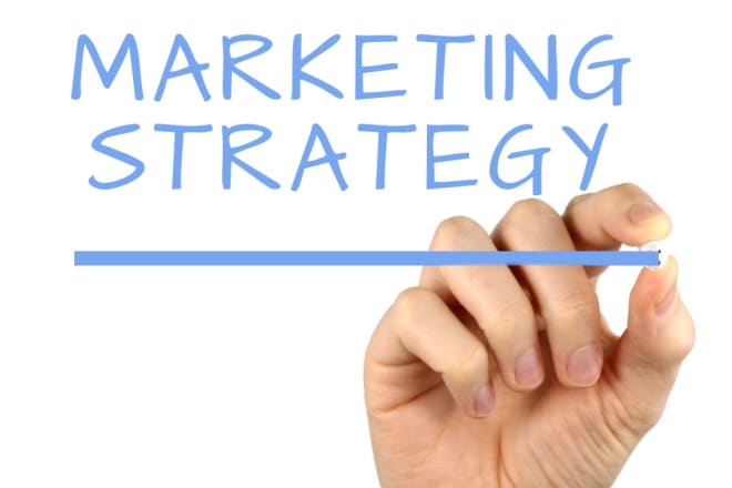 I will create digital marketing plan and execute the plan