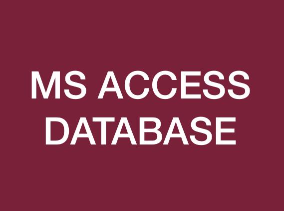 I will create the professional microsoft access databases for you