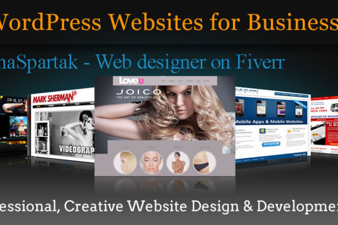 I will creating a professional website