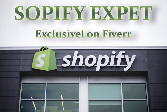 I will customize or redesign shopify website on premium theme