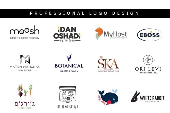 I will design a business logo