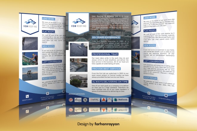 I will design a professional flyer, brochure or postcard