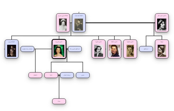 I will design and present your family tree and genealogy