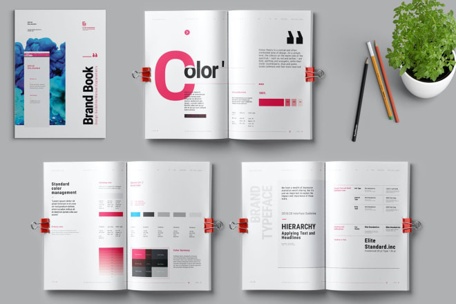 I will design brand guidelines for you
