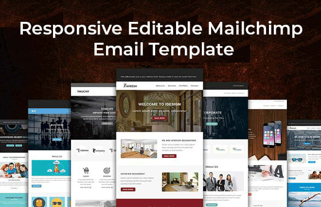 I will design editable mailchimp email template newsletter
