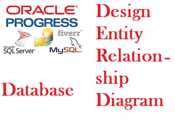 I will design entity relationship diagram and database using mysql